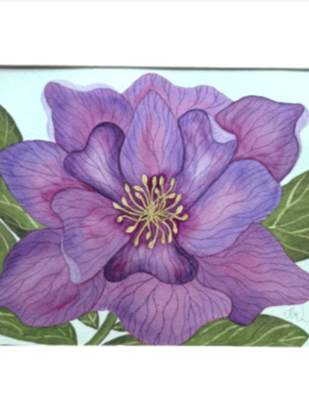 PAINTING WATERCOLOR FLOWER HELLEBORE PURPLE PINK MAROON 11X14 AND MAT 16X20 ART